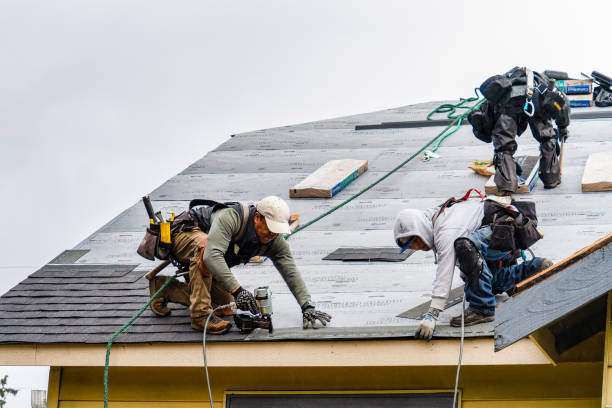 Professional Roofing technician working in Peosta, IA